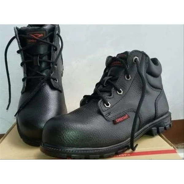 Cheetah Safety Shoes Type 2180H
